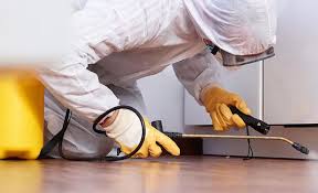 Best Pest Exclusion Services  in Tton, IL